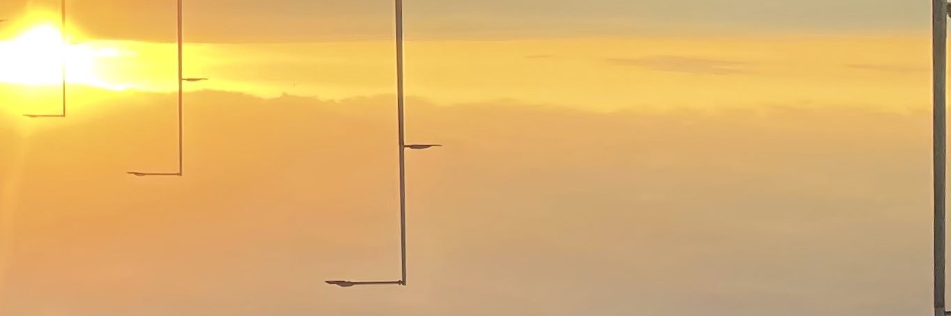 brnoboa's profile banner image