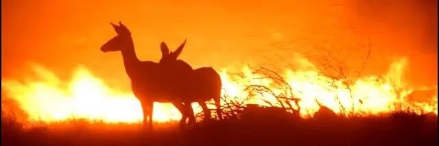 arthurayarthur's profile banner image