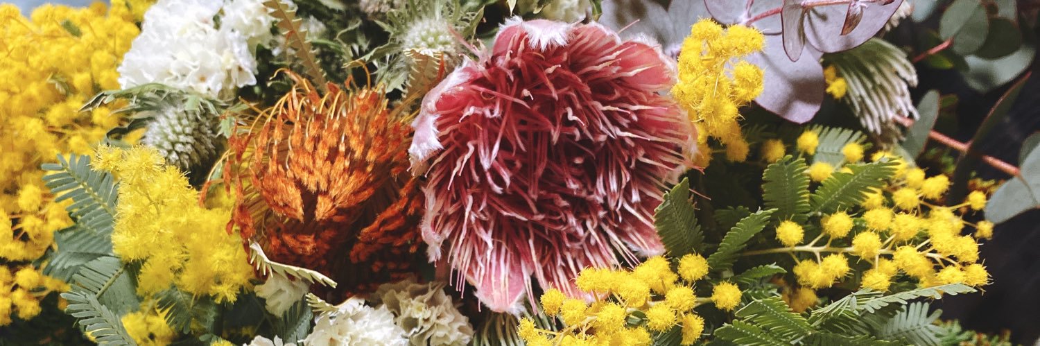 Tomoko🎹✌🏻💛💎🖤🅰️💚🐯🎹 banner