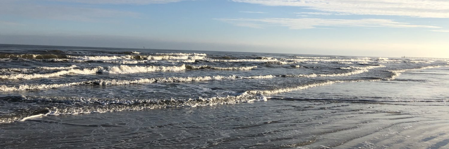 MsGrotjohn's profile banner image
