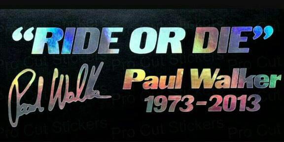 XMissusDocX's profile banner image
