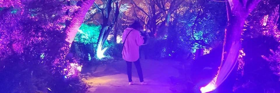 s_txpry's profile banner image