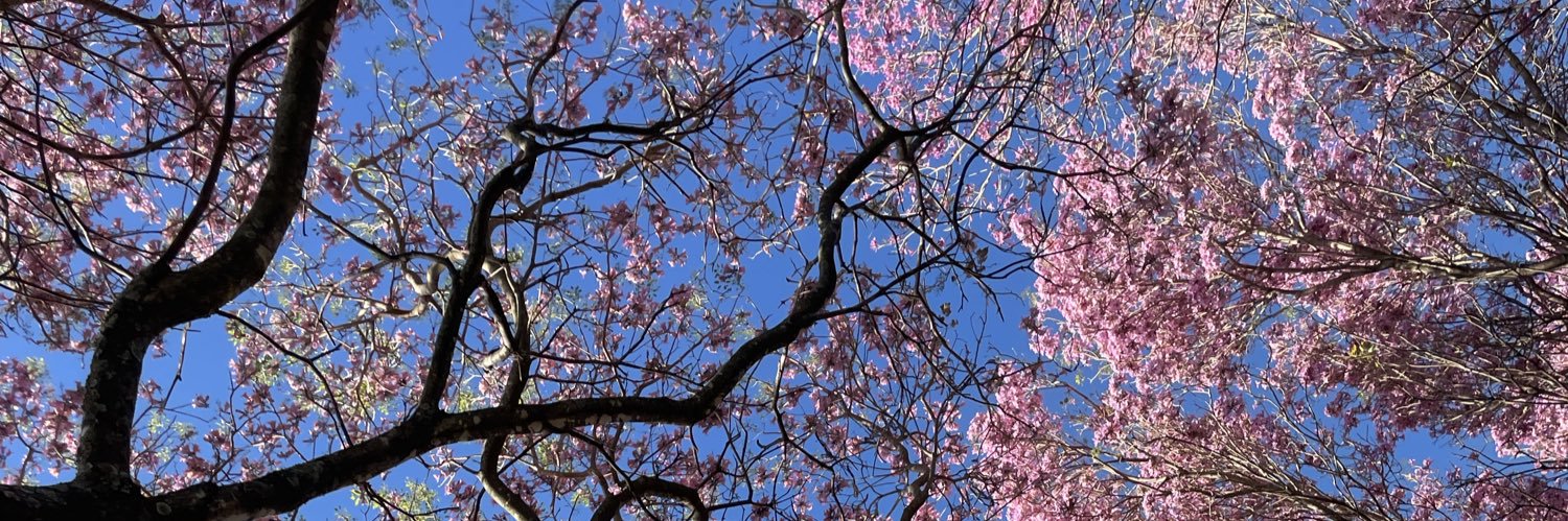 camiibgd's profile banner image
