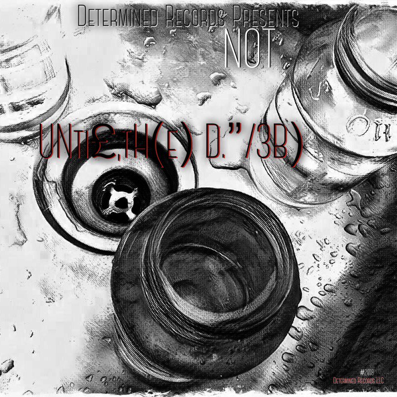 determinedrecordsLLC banner