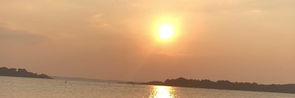 madison_folse's profile banner image