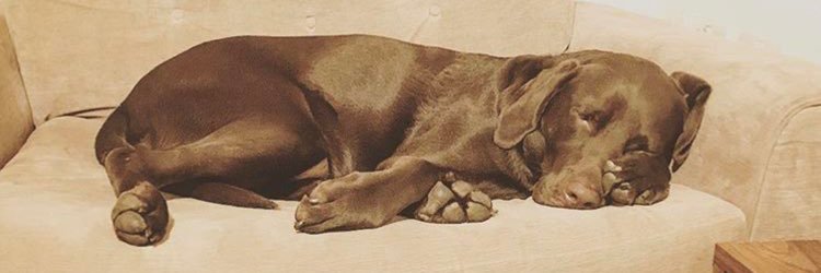 DHumphreys77's profile banner image