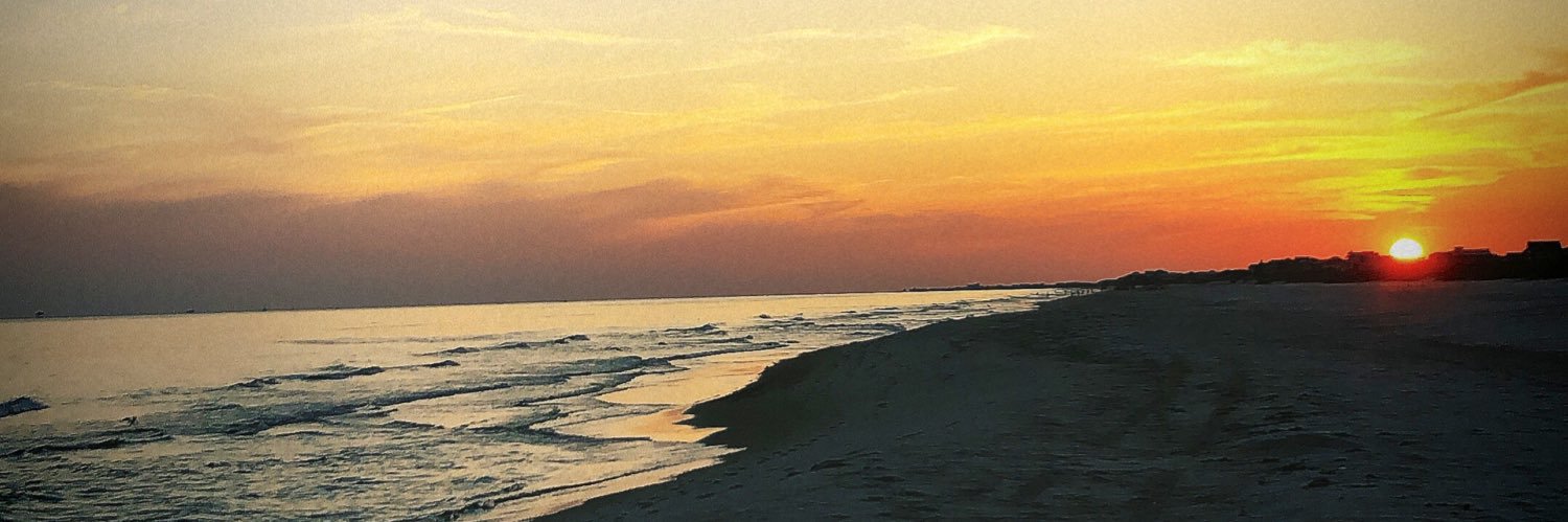blake_meier's profile banner image