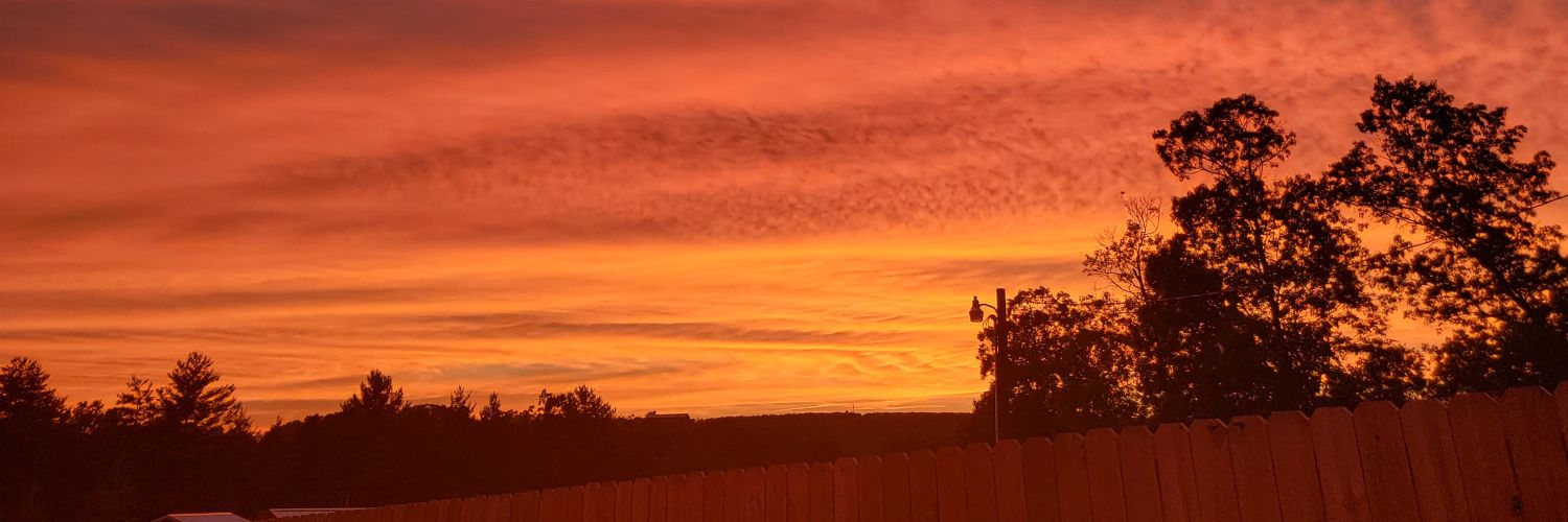 RMowMow2's profile banner image