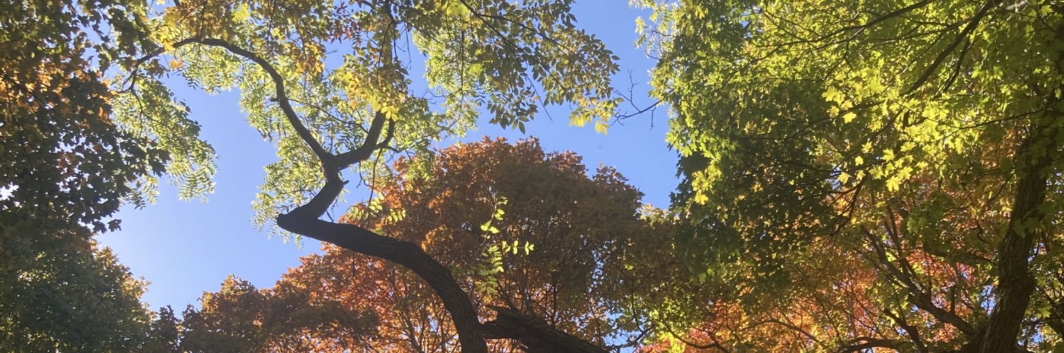Jake Halbert banner