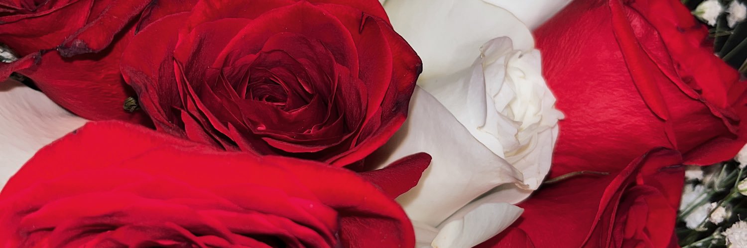 mfrojaas's profile banner image
