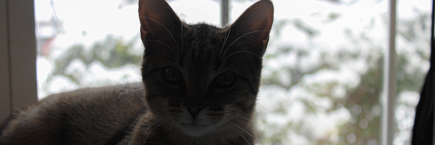 Jezxll's profile banner image