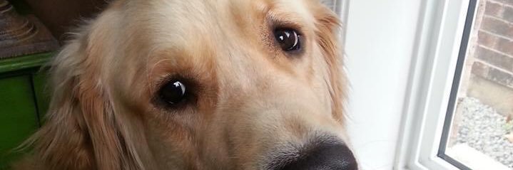 DaveTannahill's profile banner image
