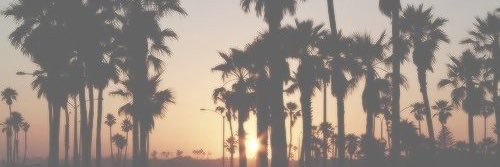 jasminedewitt20's profile banner image