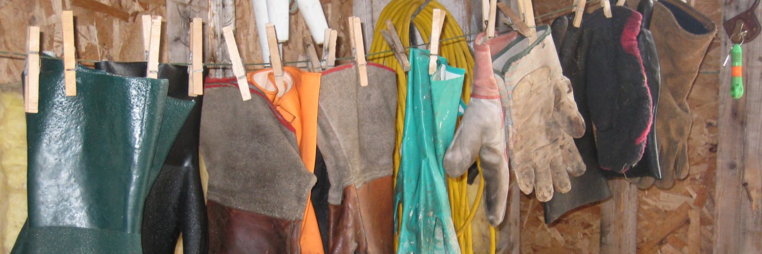 lisa cobb banner