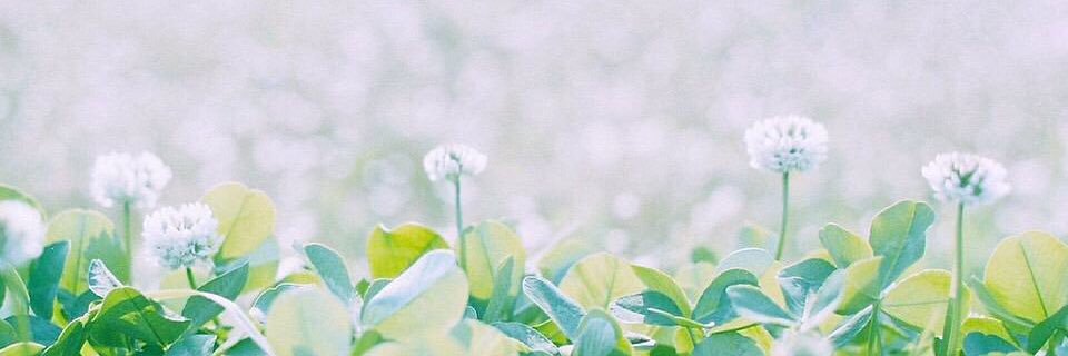 mg__yr's profile banner image