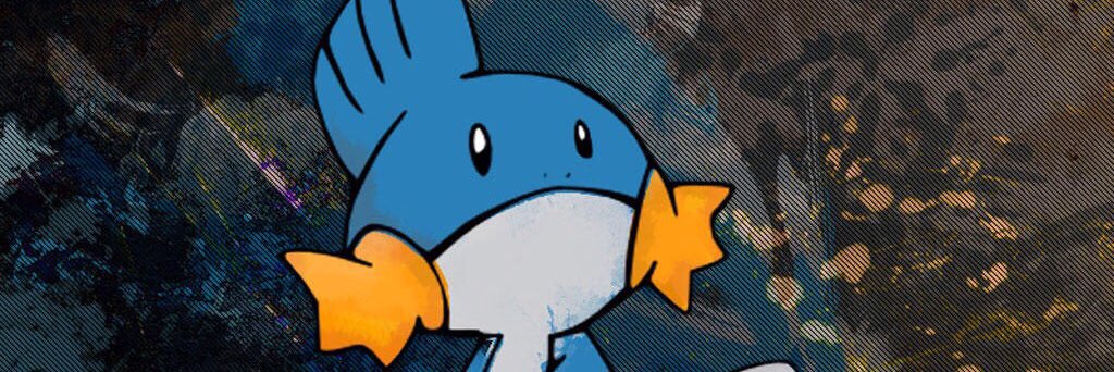 SwampertRocks's profile banner image
