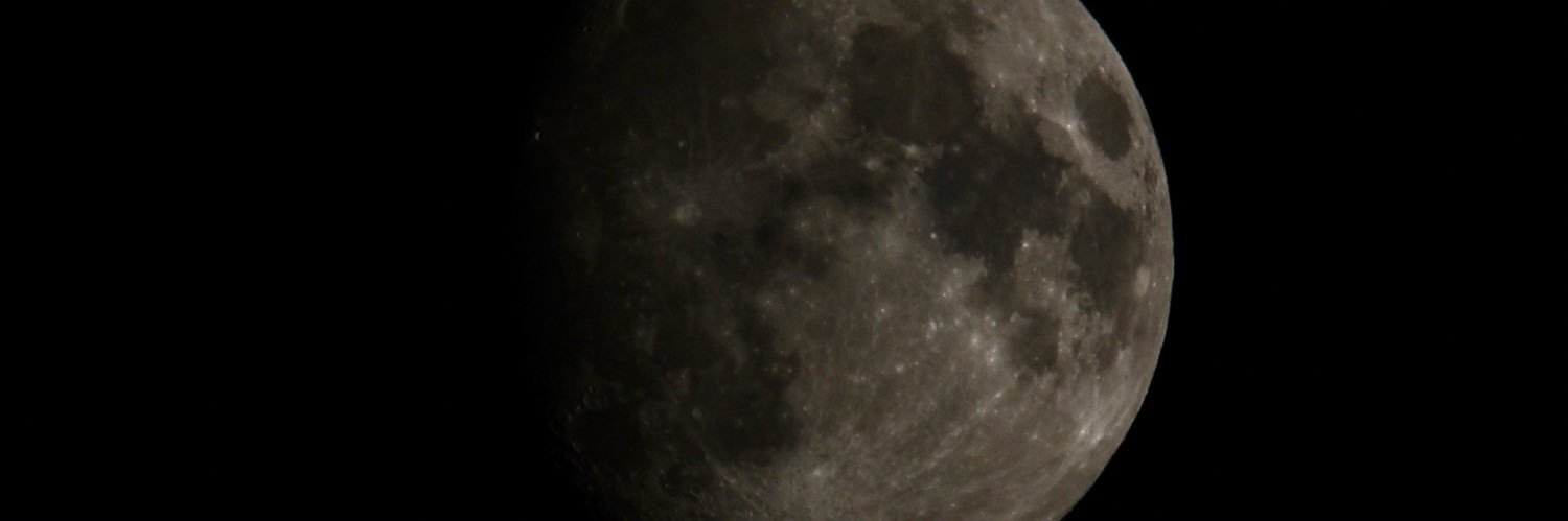 raygovier's profile banner image
