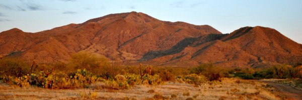 desert__belle Profile Banner