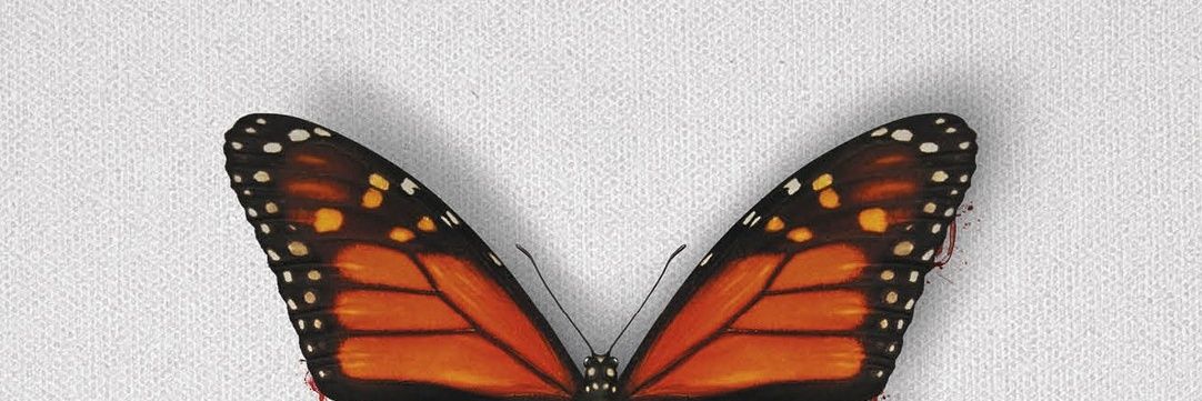 leindzm's profile banner image