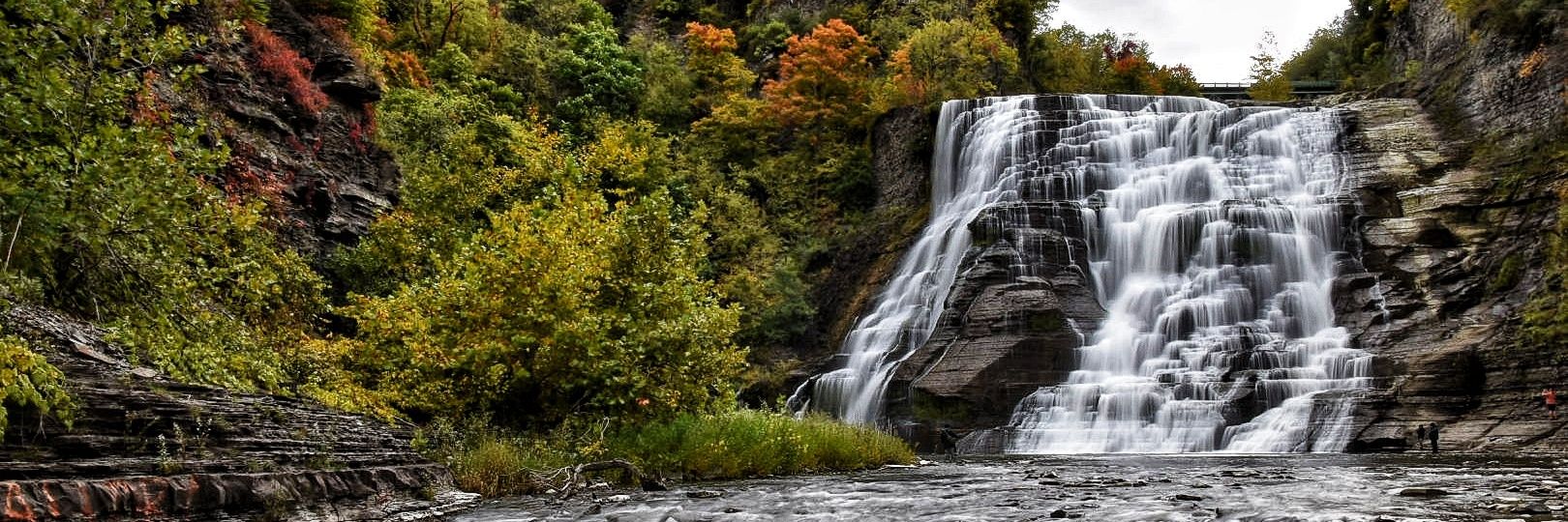 WheelerPhoto's profile banner image