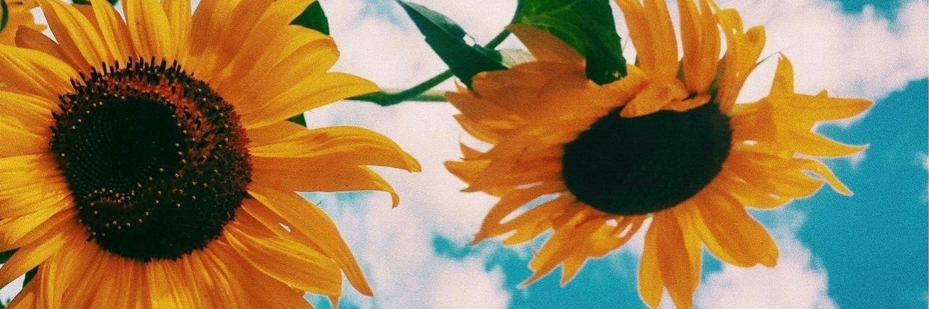 smileyco's profile banner image