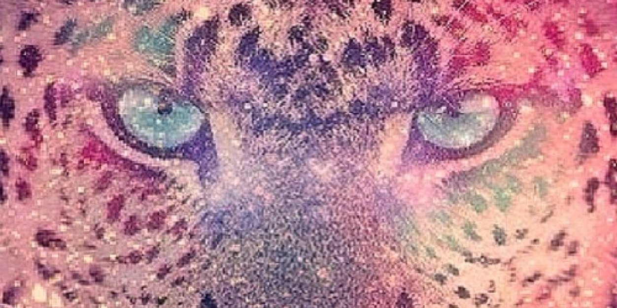 LinnRiscoll's profile banner image