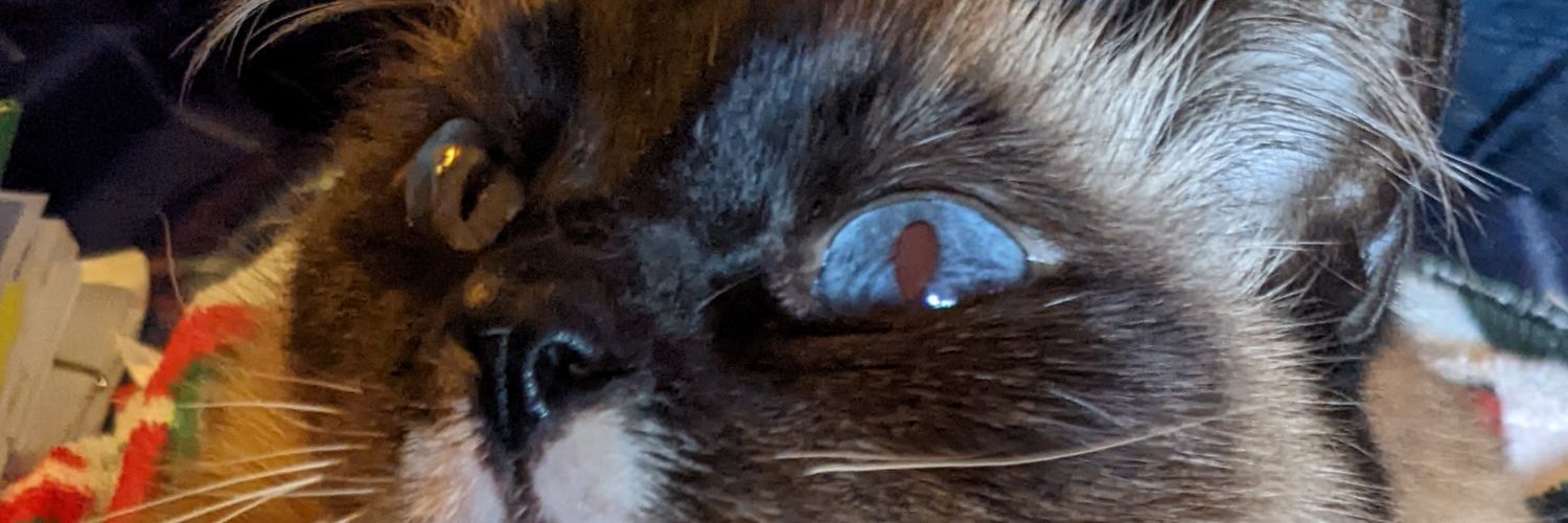 Dudeimsj's profile banner image