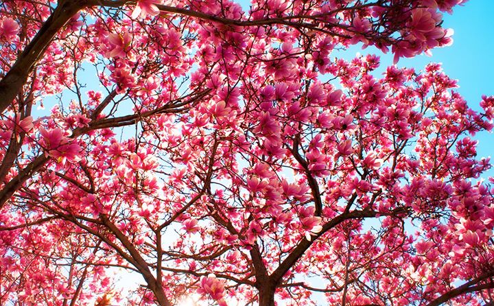 manda_mills's profile banner image