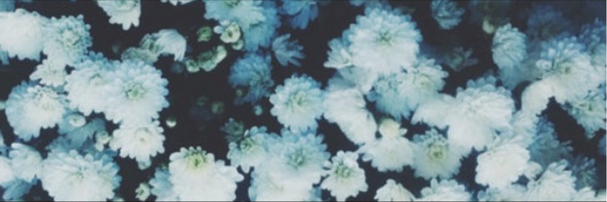 yuyacstp's profile banner image