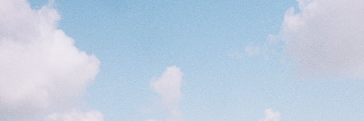 WIZZLE's banner