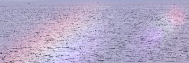 dnchongdeee's profile banner image