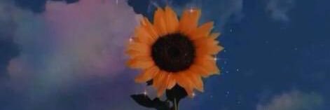 HaydyYM's profile banner image