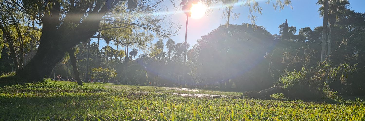 PEREIRA596's profile banner image