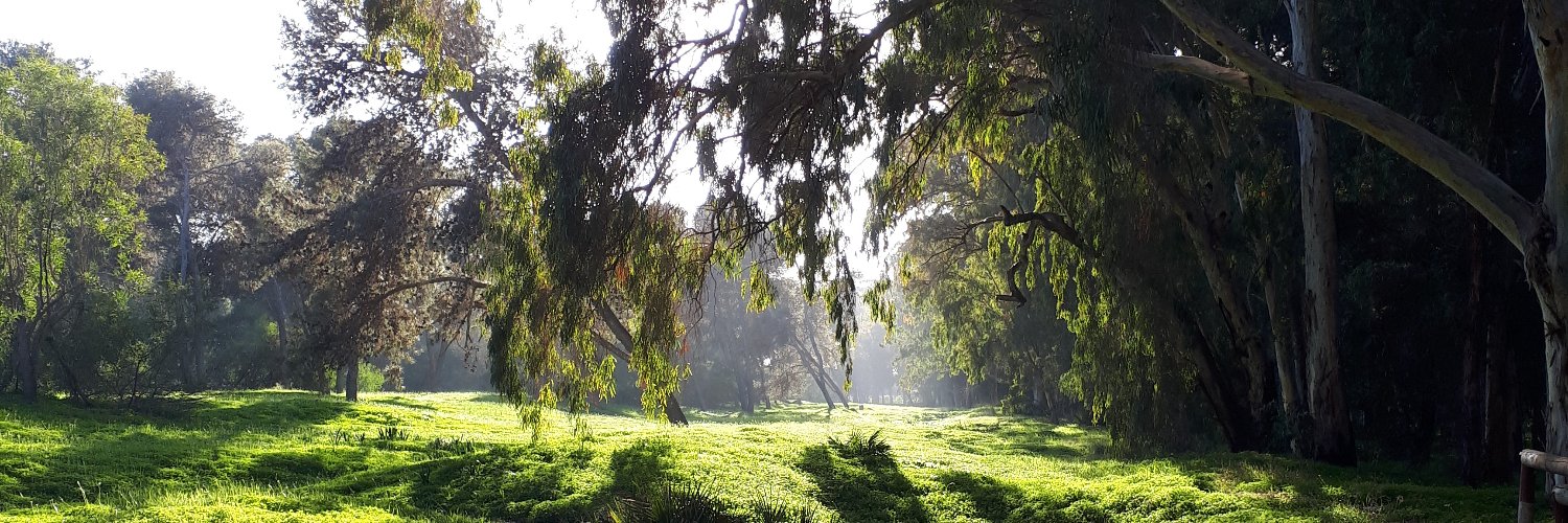 SafaeDD's profile banner image