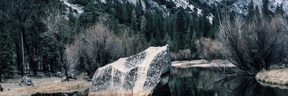 SilentGenius_'s profile banner image