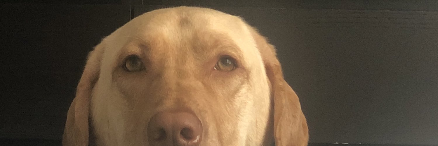 alejohehe's profile banner image