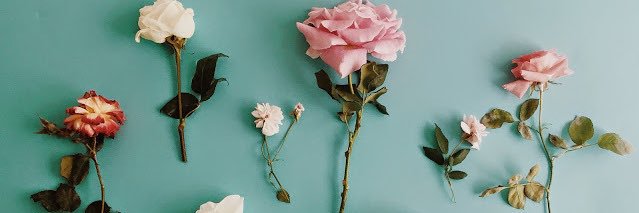 Otherseasons's profile banner image
