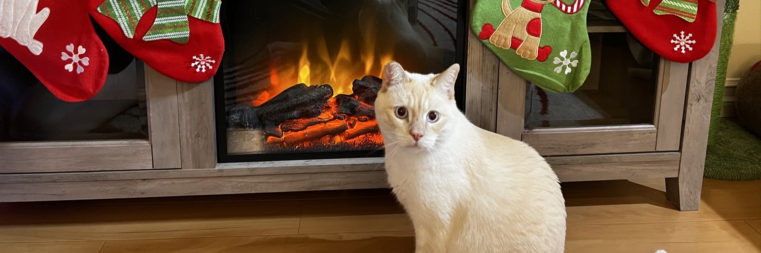 percurnicus's profile banner image
