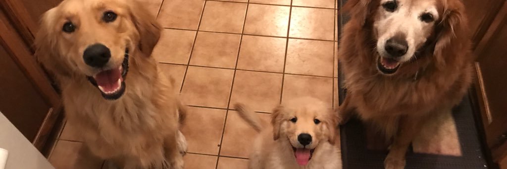 kaleyann27's profile banner image