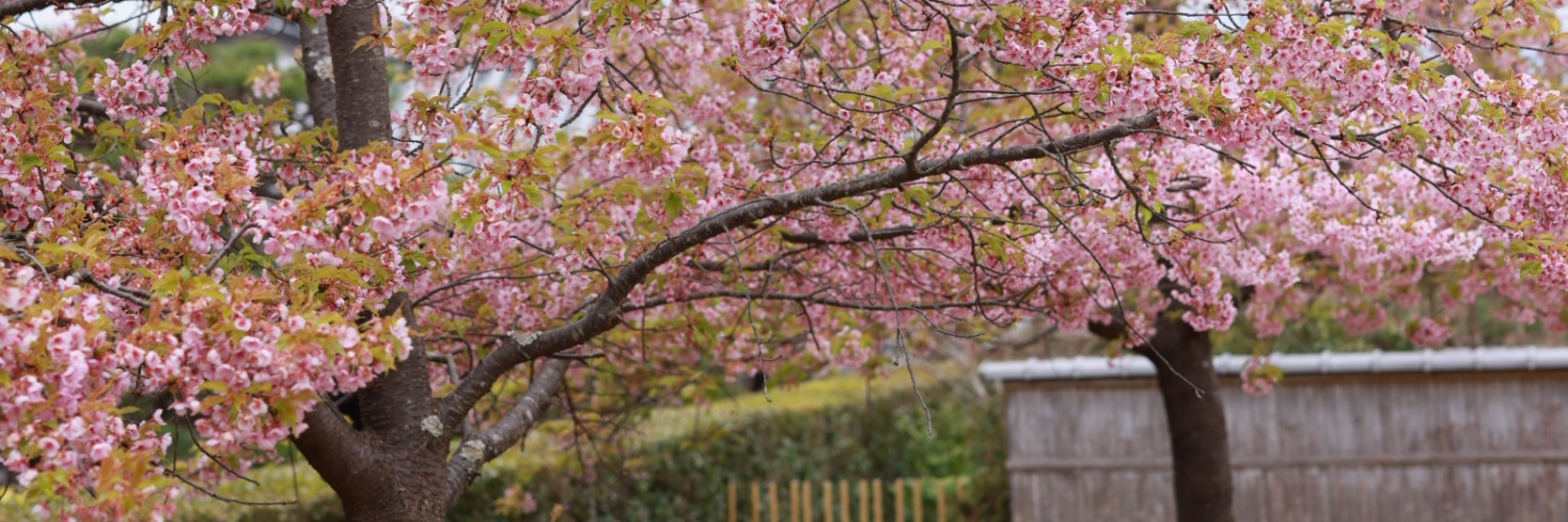 jblewis11's profile banner image