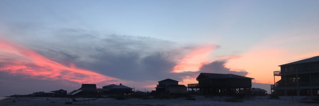 allisonmayo_'s profile banner image