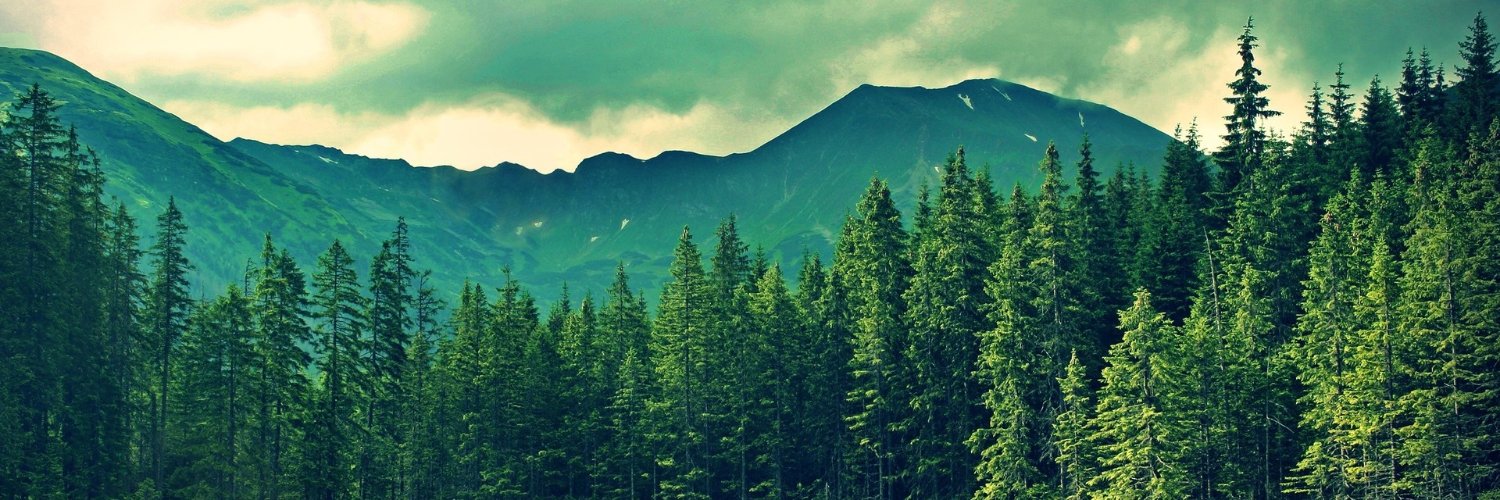 MirabelliB's profile banner image