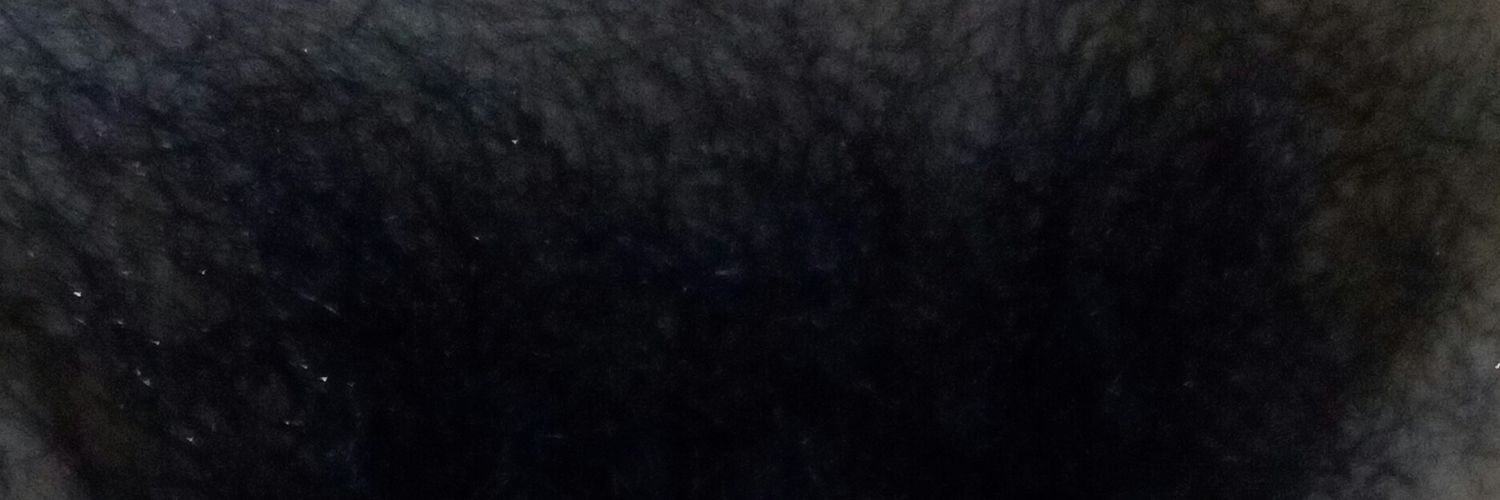 jokosatriyo9's profile banner image