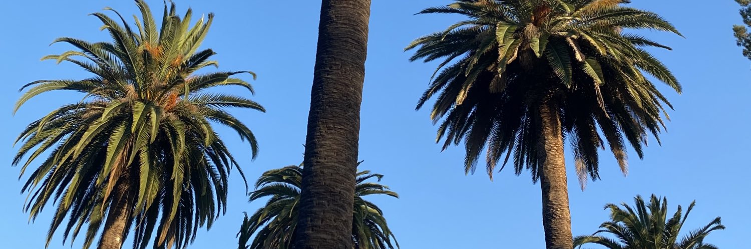 whereistach's profile banner image