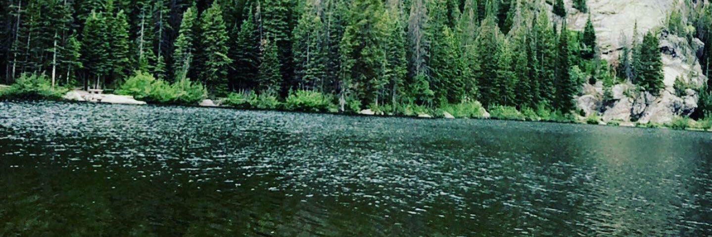 apwhitson's profile banner image