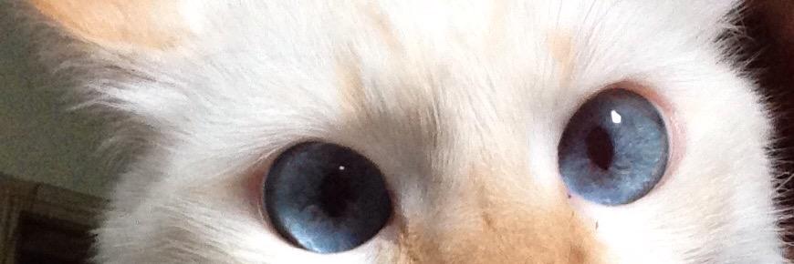 Fernandawitch's profile banner image