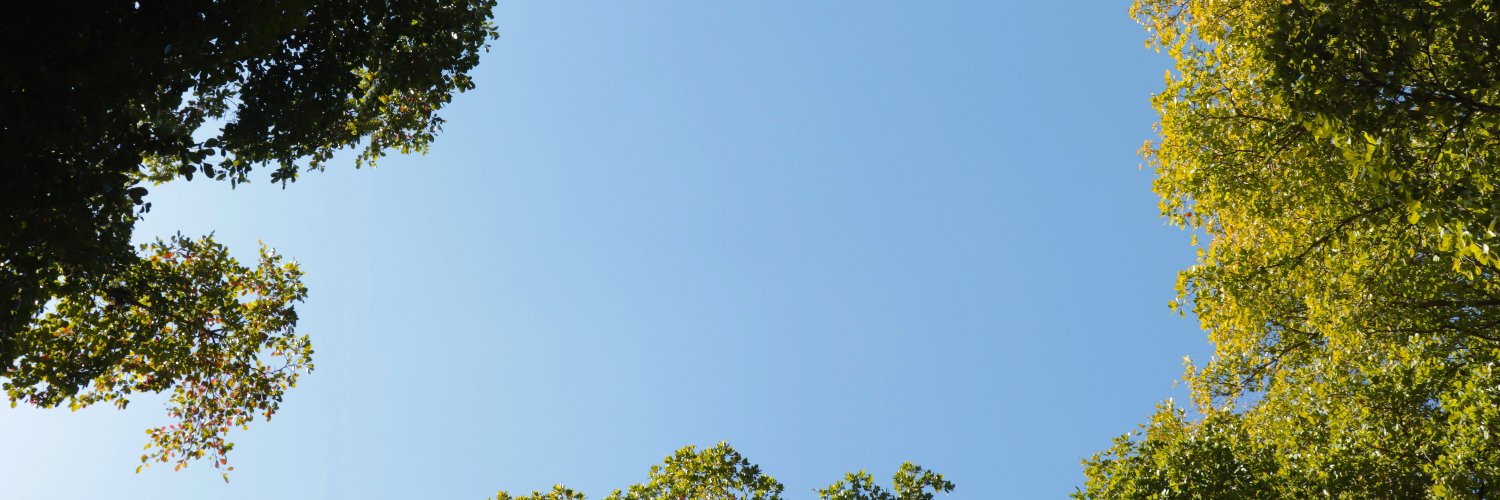castillonsf1's profile banner image
