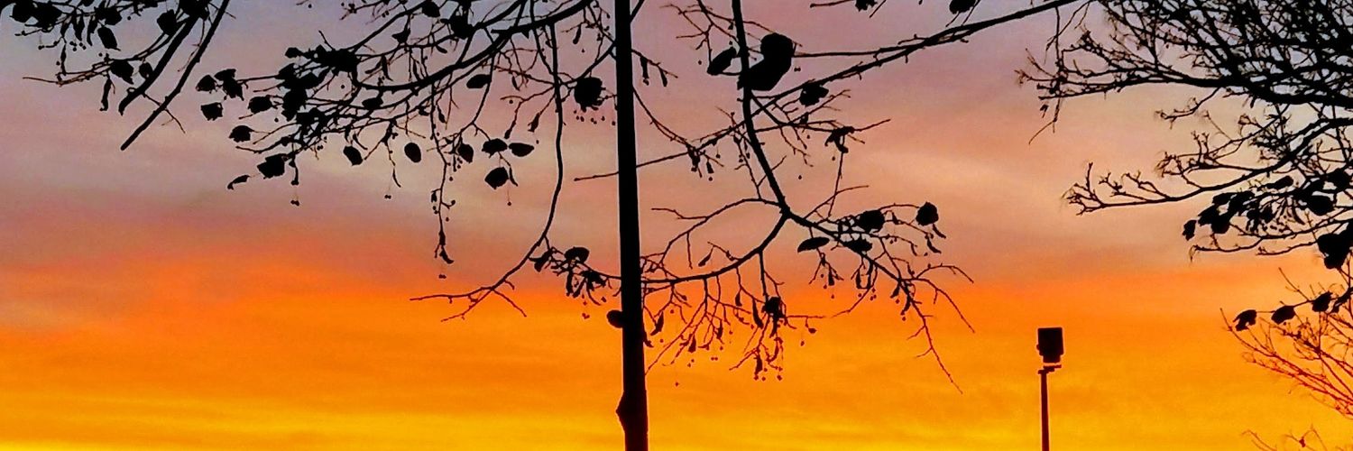 Zalyah16's profile banner image