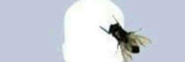LittleF01297239's profile banner image