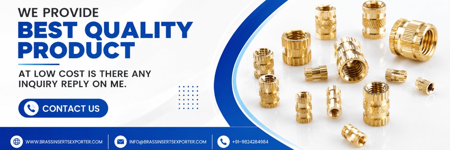 brassinsert's profile banner image